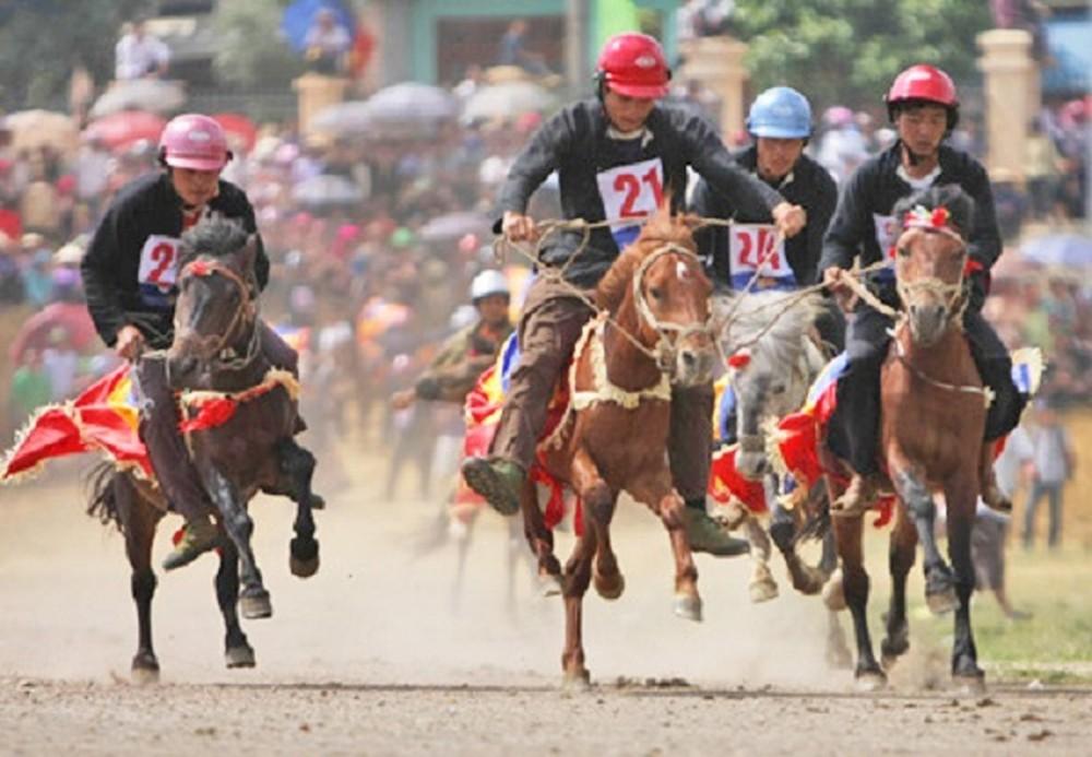 Khám phá cách nấu gà đá hầm sả thơm ngon bổ dưỡng chuẩn vị gia đình Việt